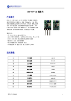 RW09-V1.0规格书V1.0..pdf